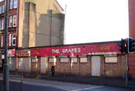 The Grapes 2008